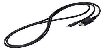 EIZO CP200 - Adapterkabel - 24 pin USB-C (M) von LumaTech