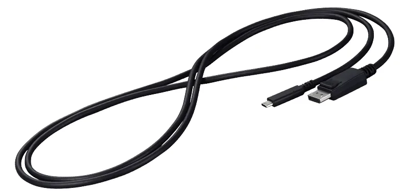 EIZO CP200 - Adapterkabel - 24 pin USB-C (M), Ansicht 2