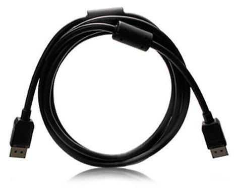 EIZO PP200-K - DisplayPort-Kabel - DisplayPort (M)
