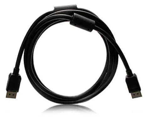 EIZO PP200-K - DisplayPort-Kabel - DisplayPort (M), Ansicht 2