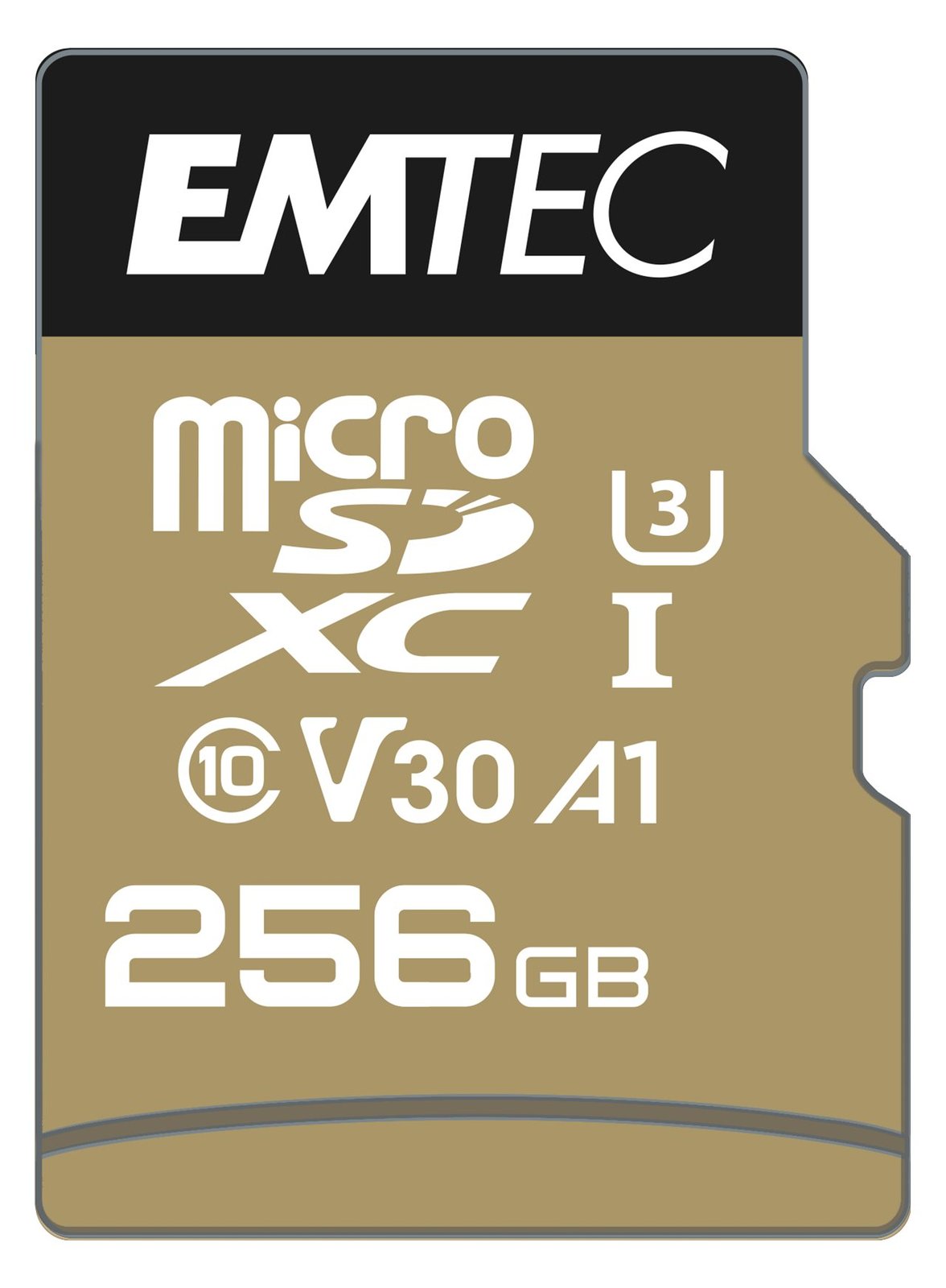 EMTEC SpeedIN Pro - 256 GB - MicroSDXC - Klasse 10 - UHS-I - 100 MB/s - 95 MB/s