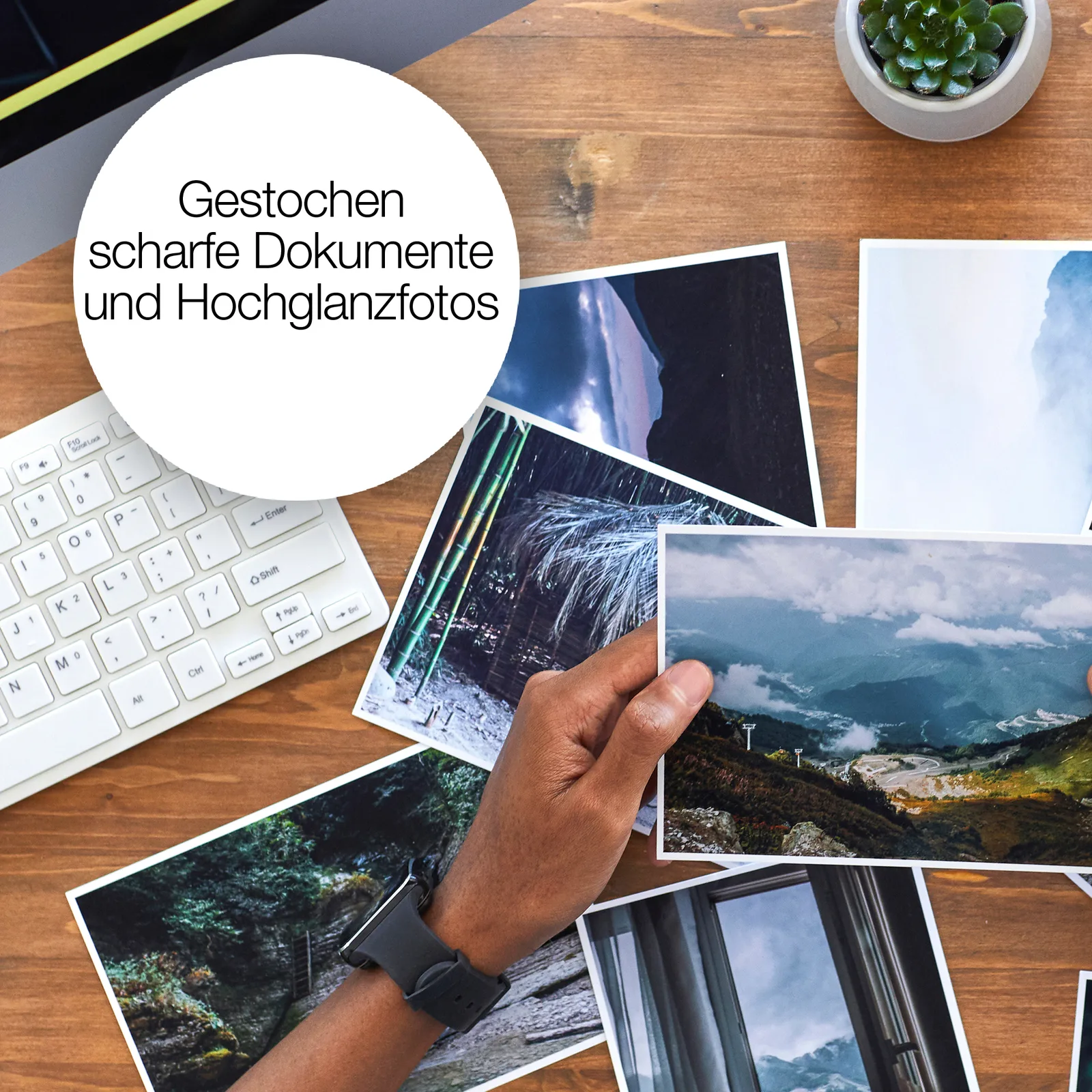 Epson 33XL Multipack - 5er-Pack - 47 ml - XL, Ansicht 7