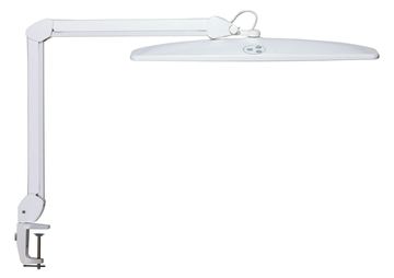 Jakob Maul GmbH MAUL 8205602 - Weiß von LumaTech