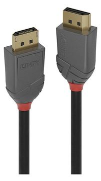 Lindy Anthra Line - DisplayPort-Kabel - DisplayPort (M) von LumaTech