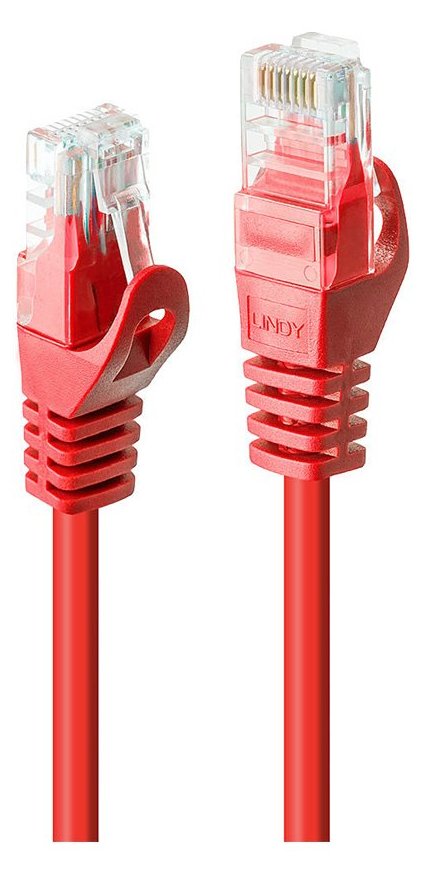 Lindy Basic - Patch-Kabel - RJ-45 (M) zu RJ-45 (M)
