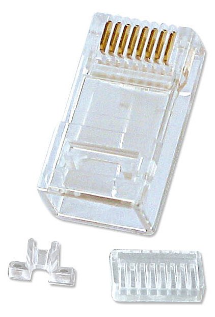 Lindy Netzwerkanschluss - RJ-45 (M) - UTP - CAT 6 - verseilt (Packung mit 10)