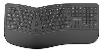 MEDIARANGE ergonomische Multimedia Funk-Tastatur - TL: Deutsch, QWERTZ von LumaTech