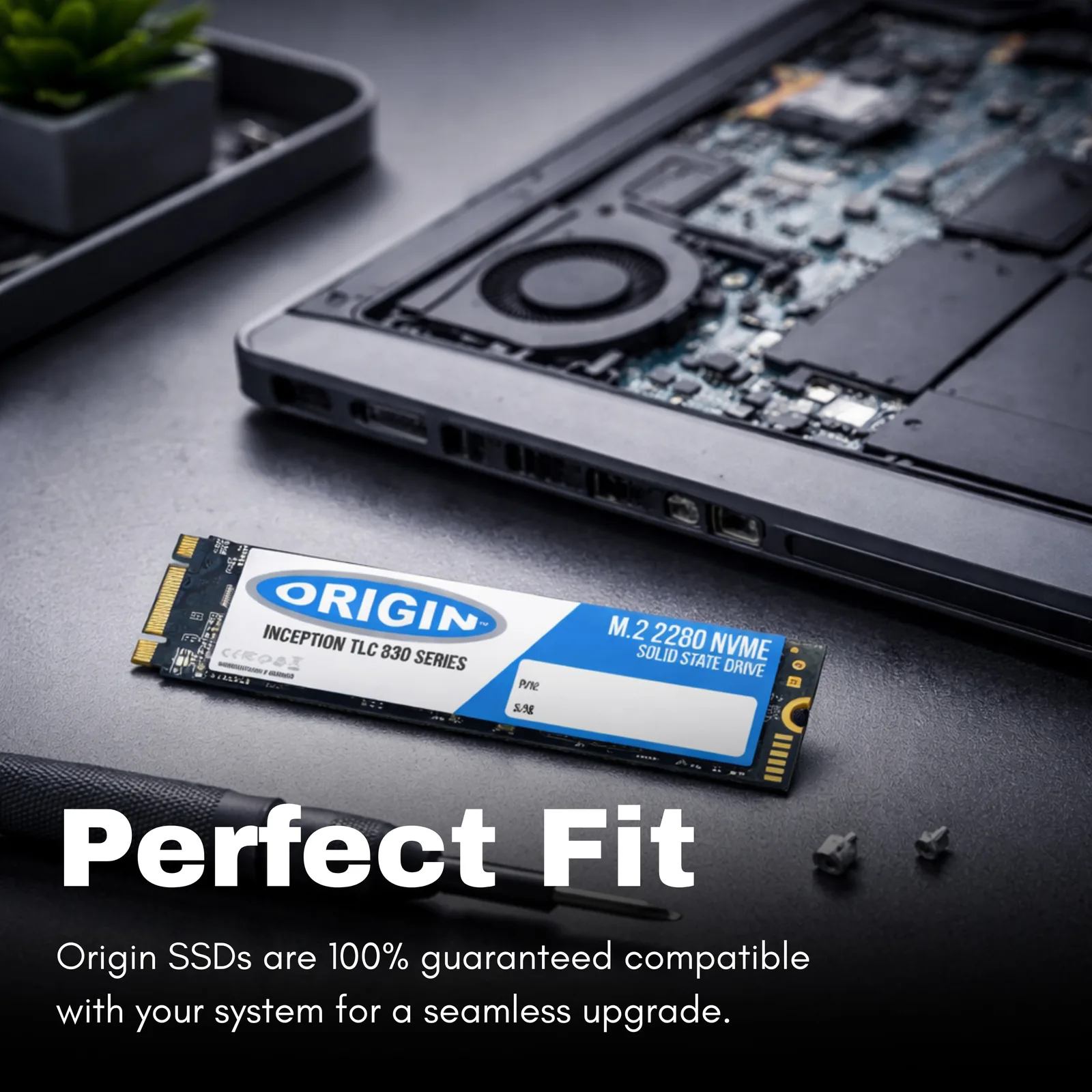 Origin Storage SSD - 2 TB - intern - M.2 - PCIe (NVMe), Ansicht 4
