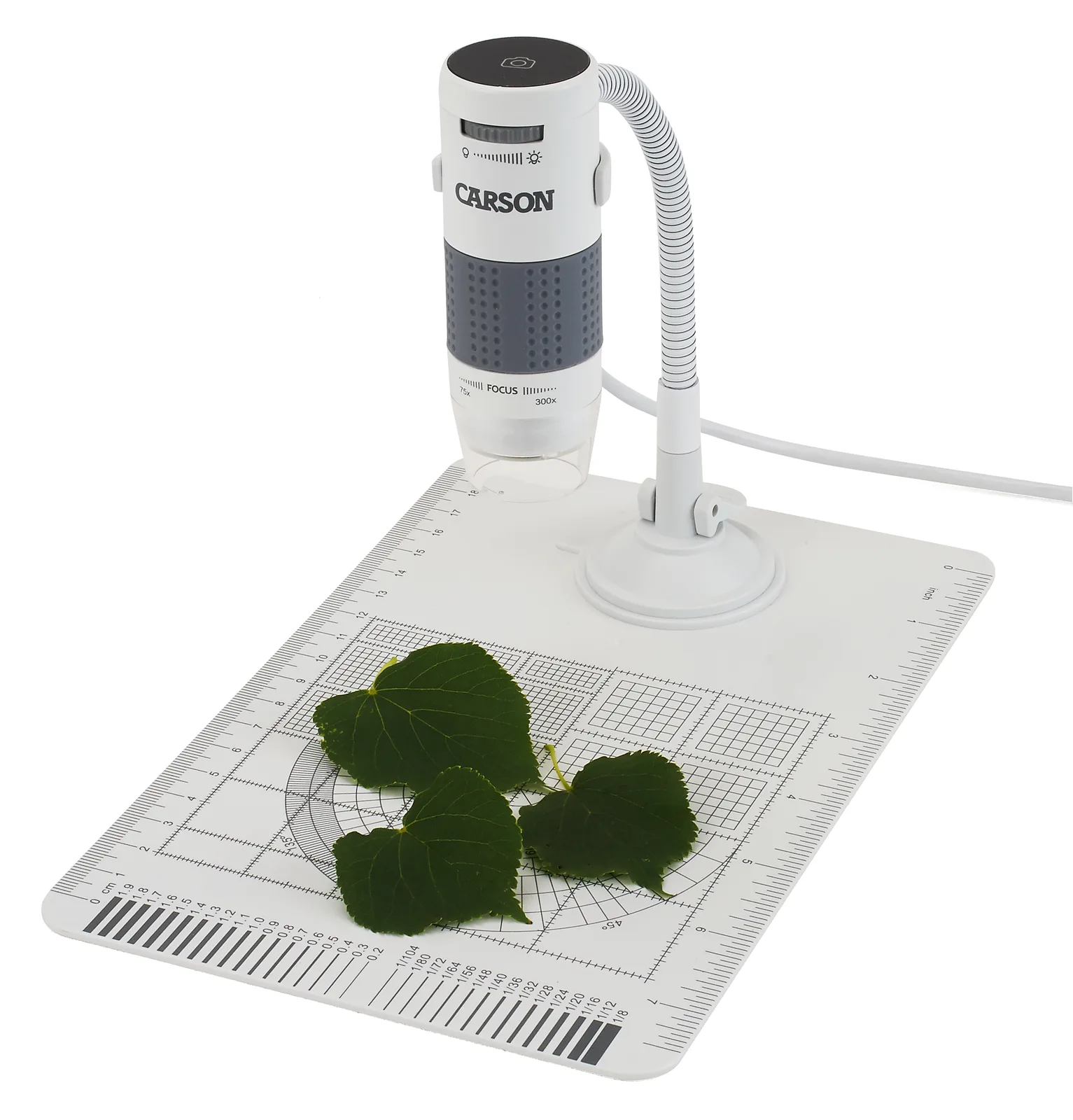 Carson EFLEX - Digitales Mikroskop - 300x - 75x - Grau - Weiß - 1600 x 1200 Pixel, Ansicht 3