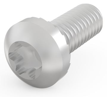 SCHROFF SCREW POSIPAN M4X10 100PCS von LumaTech