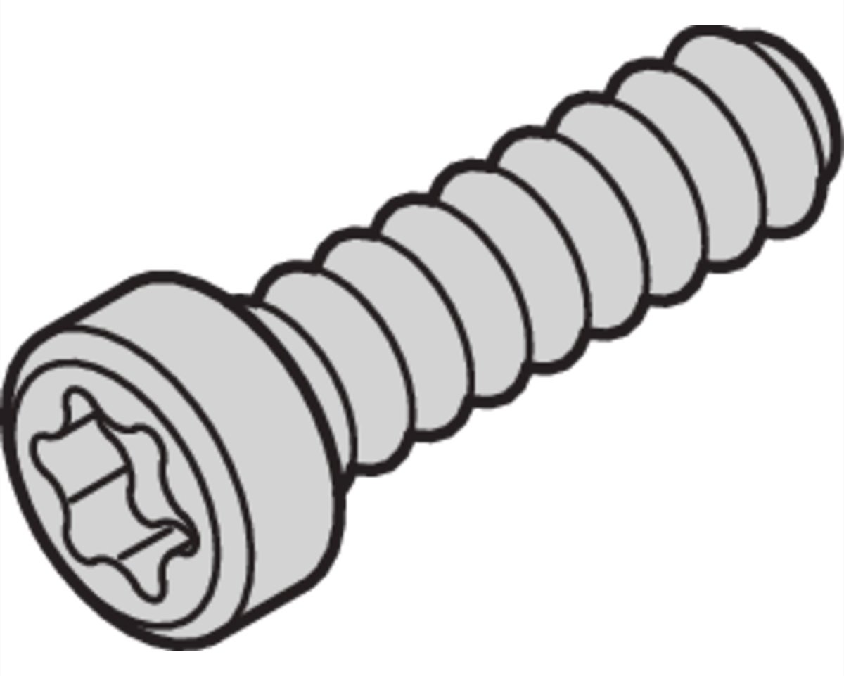 SCHROFF SCREW TORX 2.5X9.3 (100PCS)
