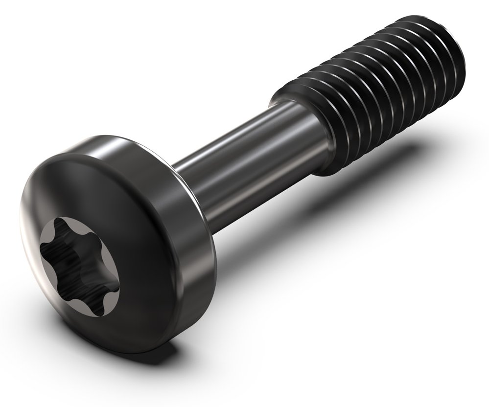 SCHROFF SCREW TORX COL.M2.5X12.3 100X