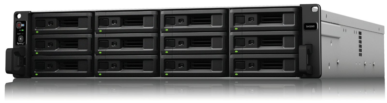 Synology SA3200D - NAS-Server - 12 Schächte - Rack