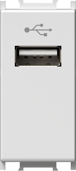 TEM Serie Modul Steckdosen SOCKET USBTIP A 1M PW