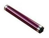 Toshiba OD-FC34M - Magenta - Original - Trommeleinheit