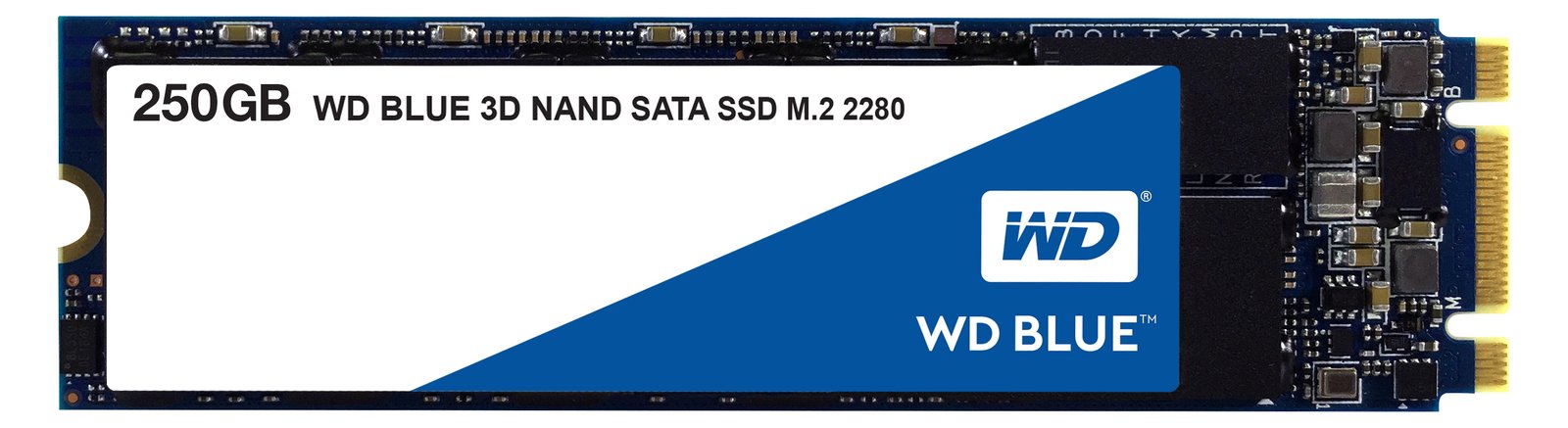 WD Blue 3D NAND SATA SSD WDS250G2B0B - SSD - 250 GB