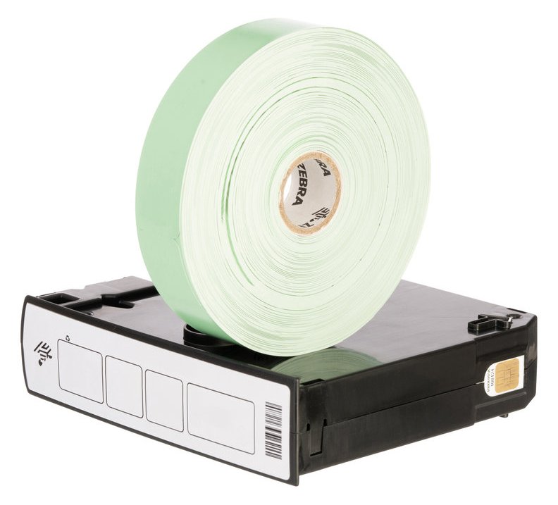 Zebra Z-Band Fun - Grün - 25.4 x 254 mm 2100 Etikett(en) (6 Rolle(n)