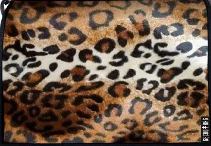 Lasche 335 | Leopard von Geckobag