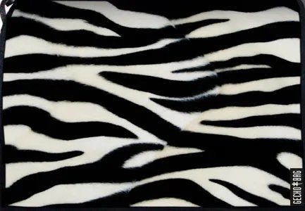 Lasche 433 | Zebra von Geckobag