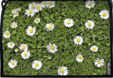 Lasche 88 | Gänseblümchen