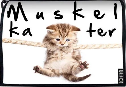Lasche 624 | Muskelkater von Geckobag