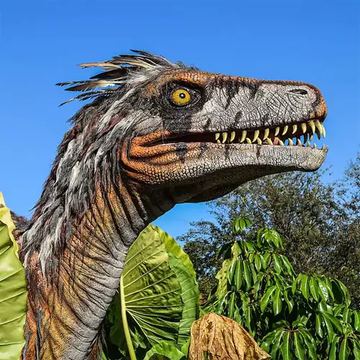 Lasche 2047 | Dino