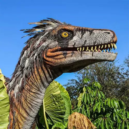 Lasche 2047 | Dino