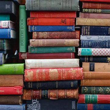 Lasche 2033 | Bücher von Geckobag