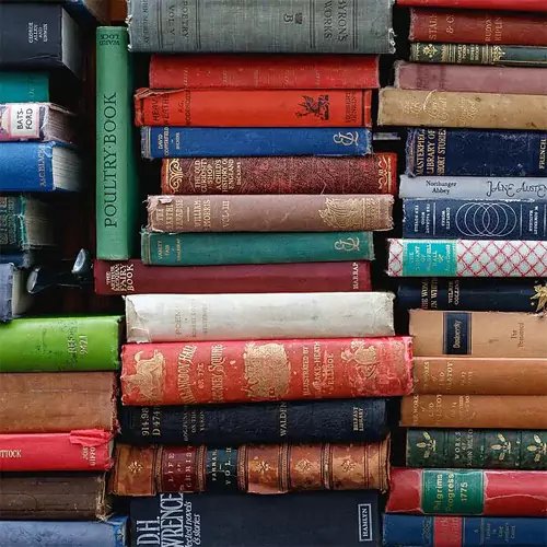 Lasche 2033 | Bücher