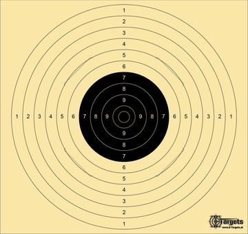 Große *Standard Target XLS* / 55x52 cm/geschlitzt/Schießscheibenkarton 200 g/m²