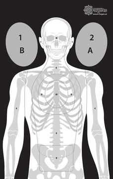 X-Targets Große Tactical Zielscheiben / Format: 53 x 84 cm/Papier 120g/m² (20 Stück) von X-Targets