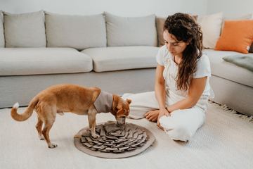 Phino Sniffpad für Hunde