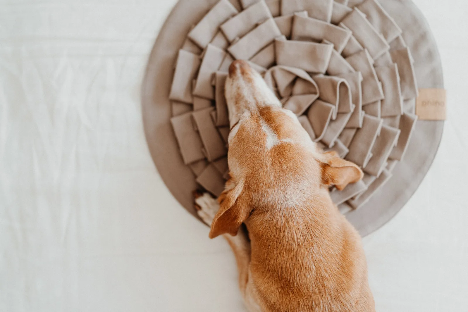 Phino Sniffpad für Hunde, Ansicht 3