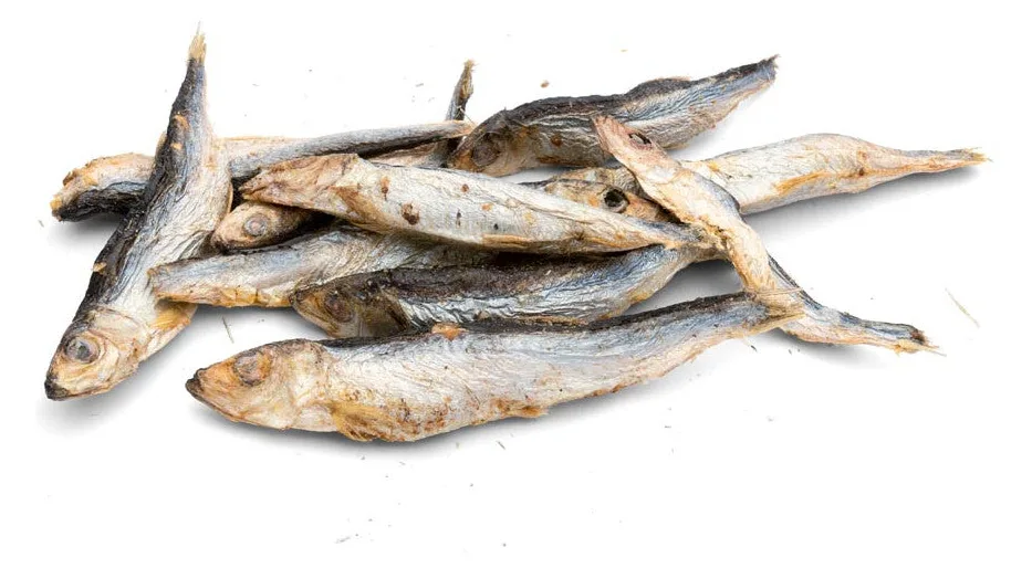 napani Knabber Zeit - Sprotten gefriergetrocknet für Hunde & Katzen, 100g, Ansicht 2