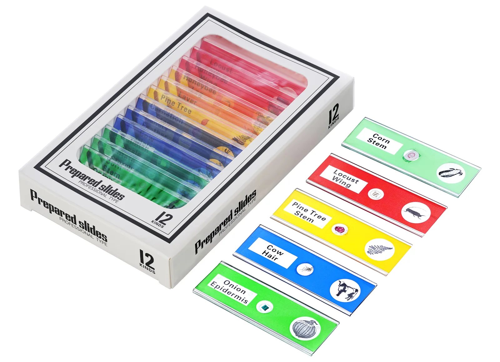 Levenhuk LabZZ DM200 - Digitales Mikroskop - Grün - Kunststoff - LCD - 10,9 cm (4.3") - 0 - 83 mm, Ansicht 4