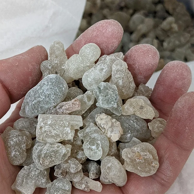 Weihrauch Nigeria – Boswellia dalzielii, Ansicht 2