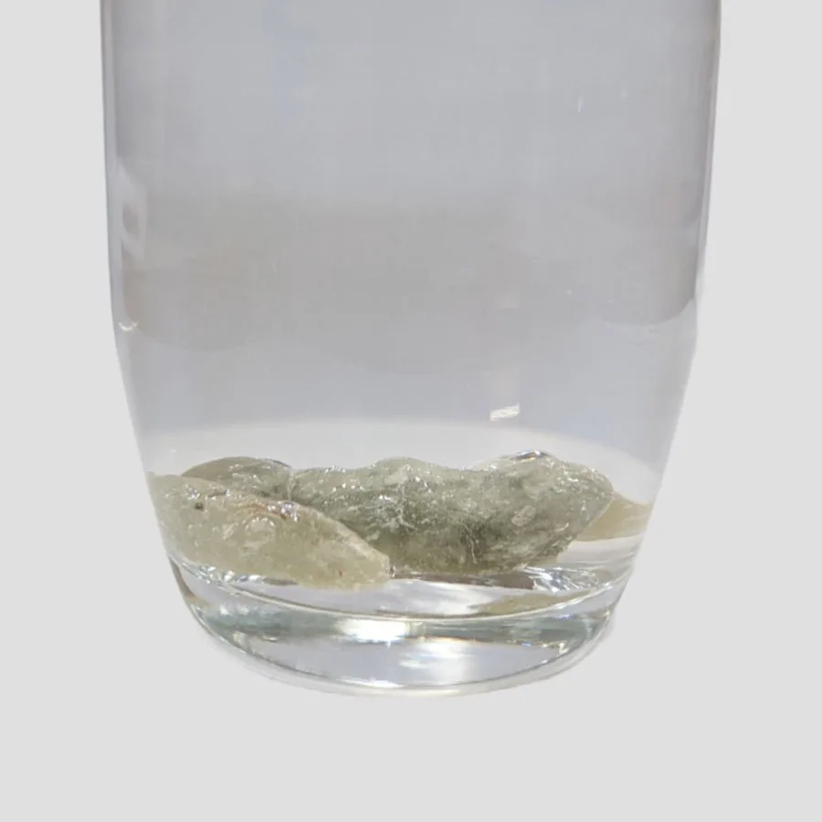 Weihrauch Nigeria – Boswellia dalzielii, Ansicht 3
