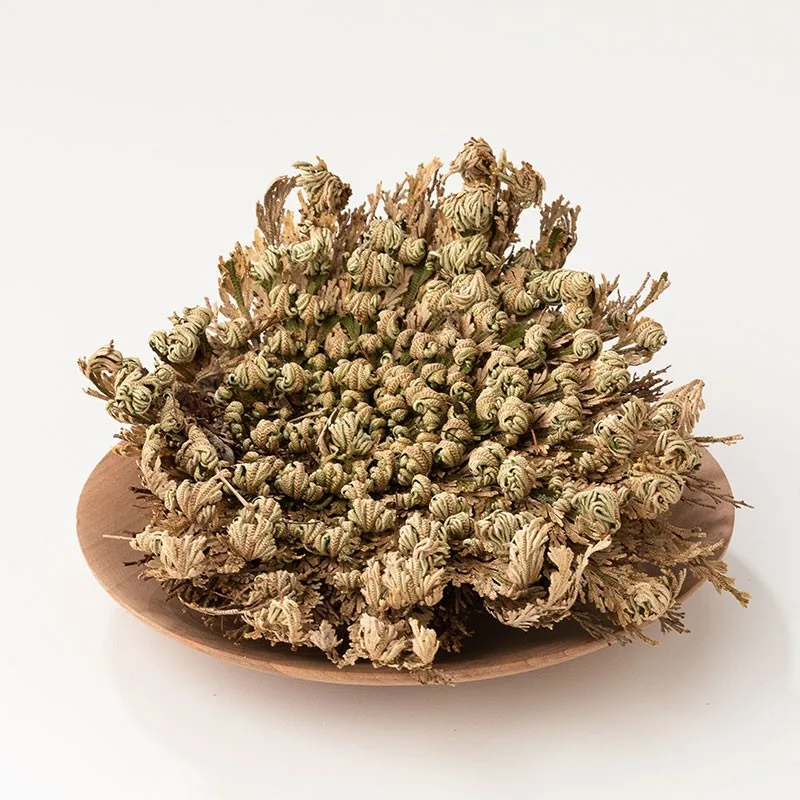 Rose von Jericho, Ansicht 2