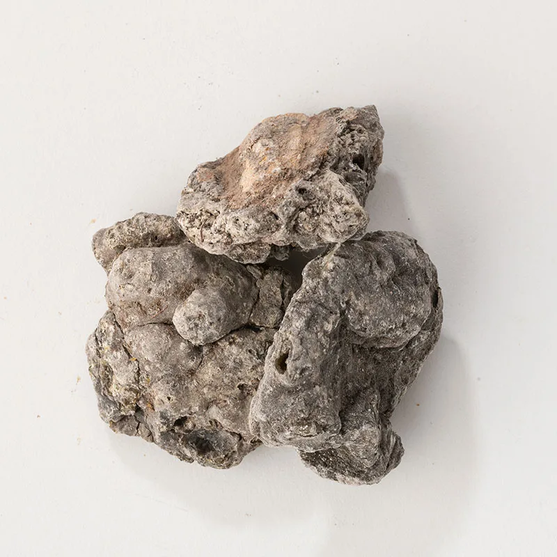 Copal Nero – Copal Negro, Ansicht 3