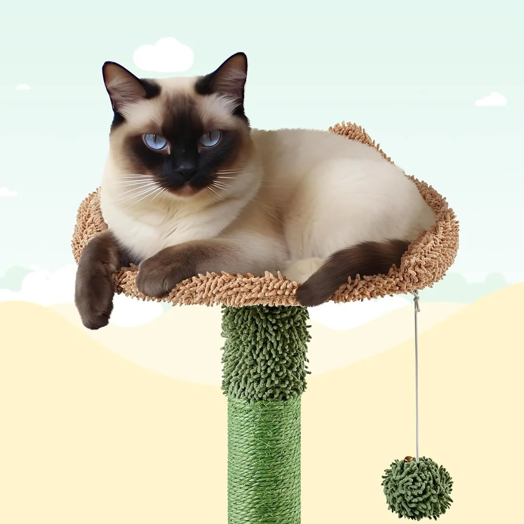 Kaktus-Kratzbaum 135,5cm "grün/braun", Ansicht 5