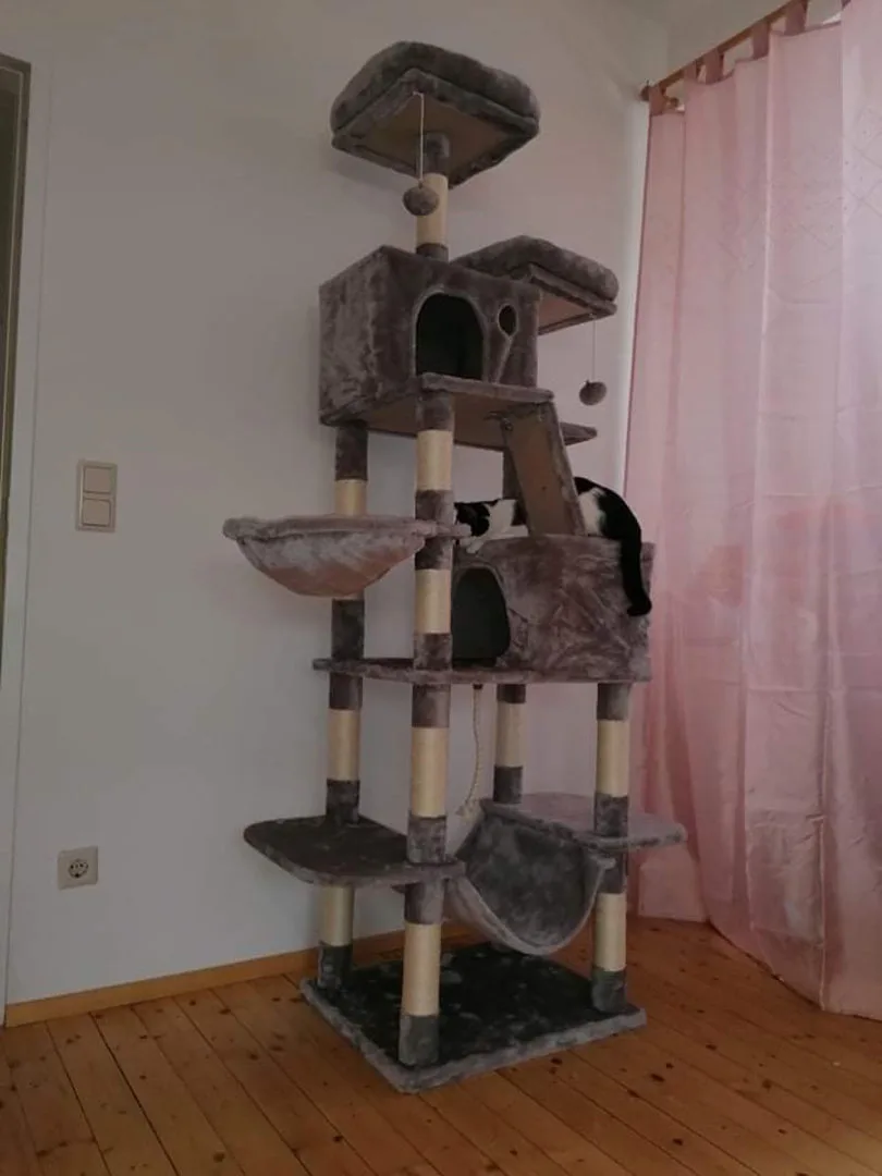 Kratzbaum 206cm, Ansicht 26
