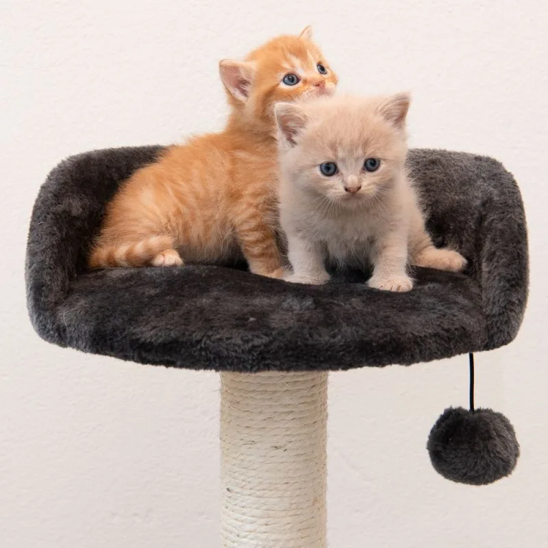 Kratzbaum 47cm "schwarz", Ansicht 7