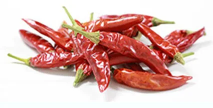 Melisse-Chili Likör – 28,30 % vol. — Bild 2