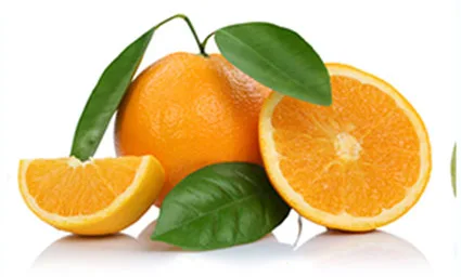Orangenlikör – 16,50 % vol. – SILBER 2017 — Bild 2