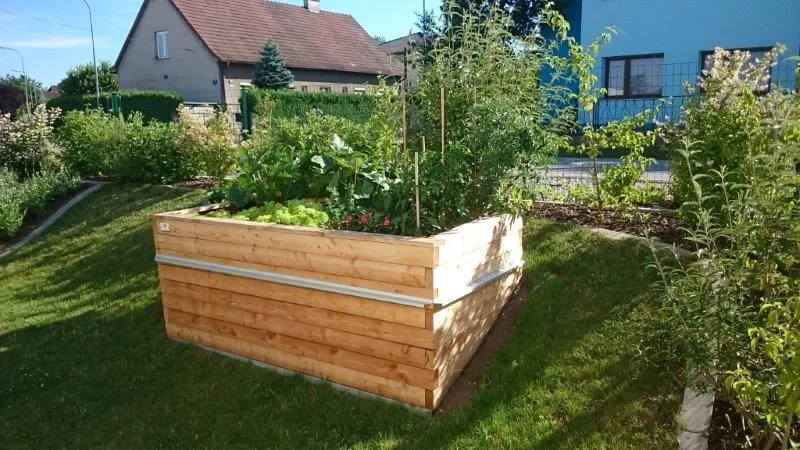 BIO-Schwarzerde für Hochbeet und Gemüse, Ansicht 4