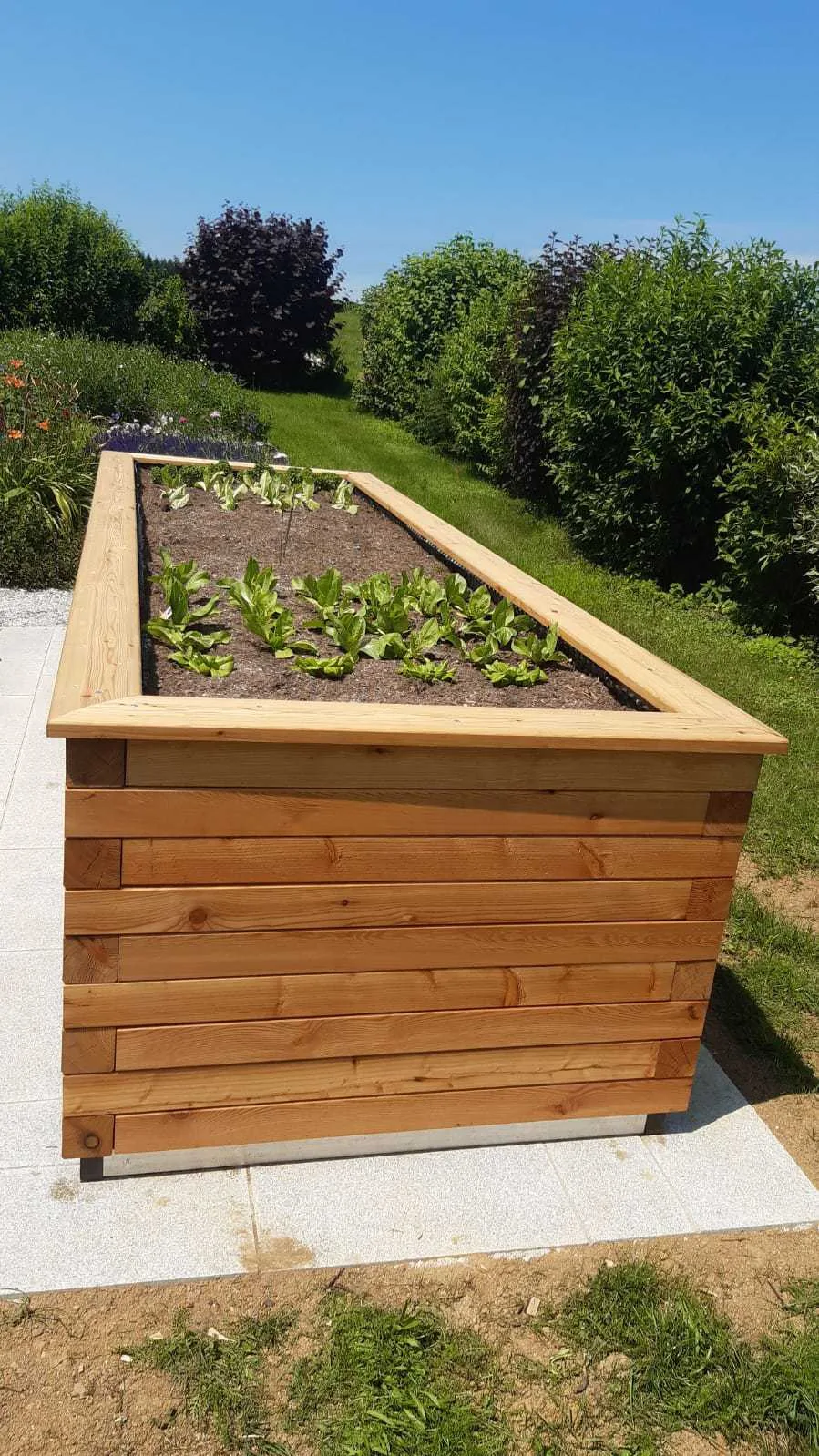 Hochbeet “dicke Berta” 125×393, Ansicht 12