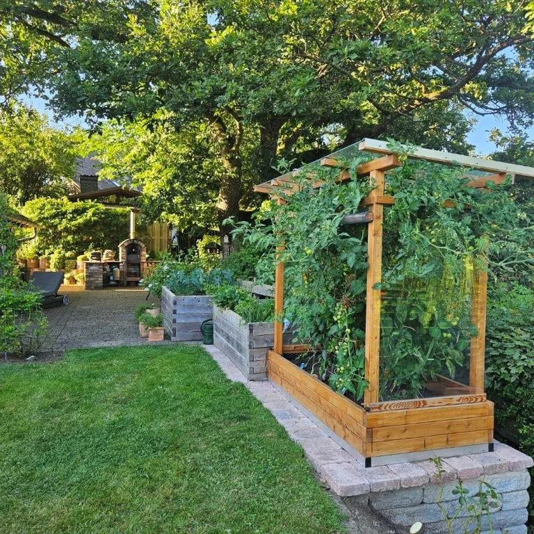 Tomaten-Paradies, Ansicht 3
