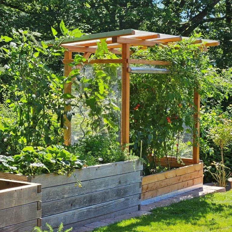 Tomaten-Paradies, Ansicht 4