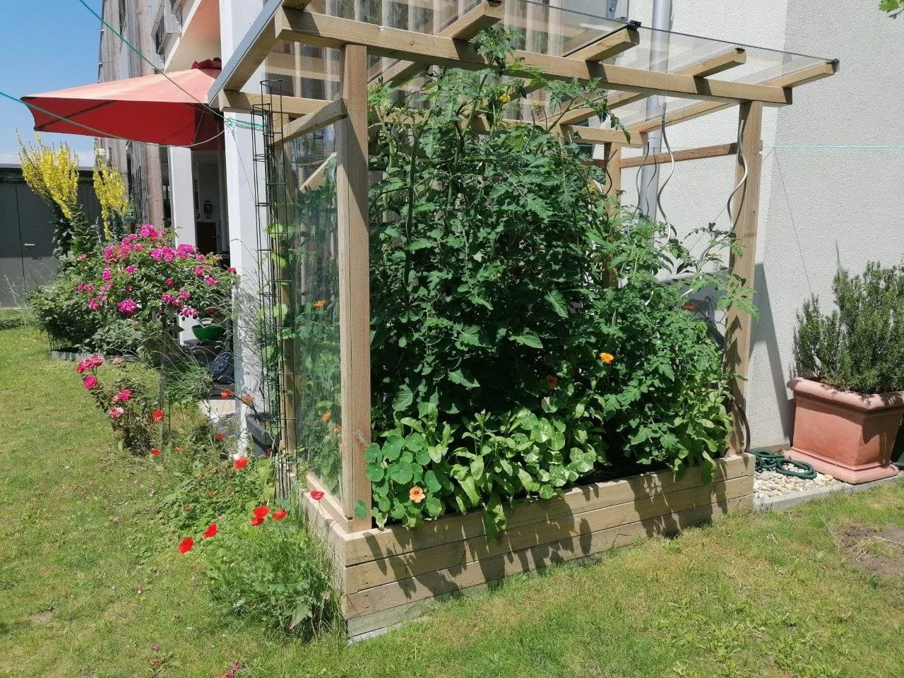 Tomaten-Paradies, Ansicht 11