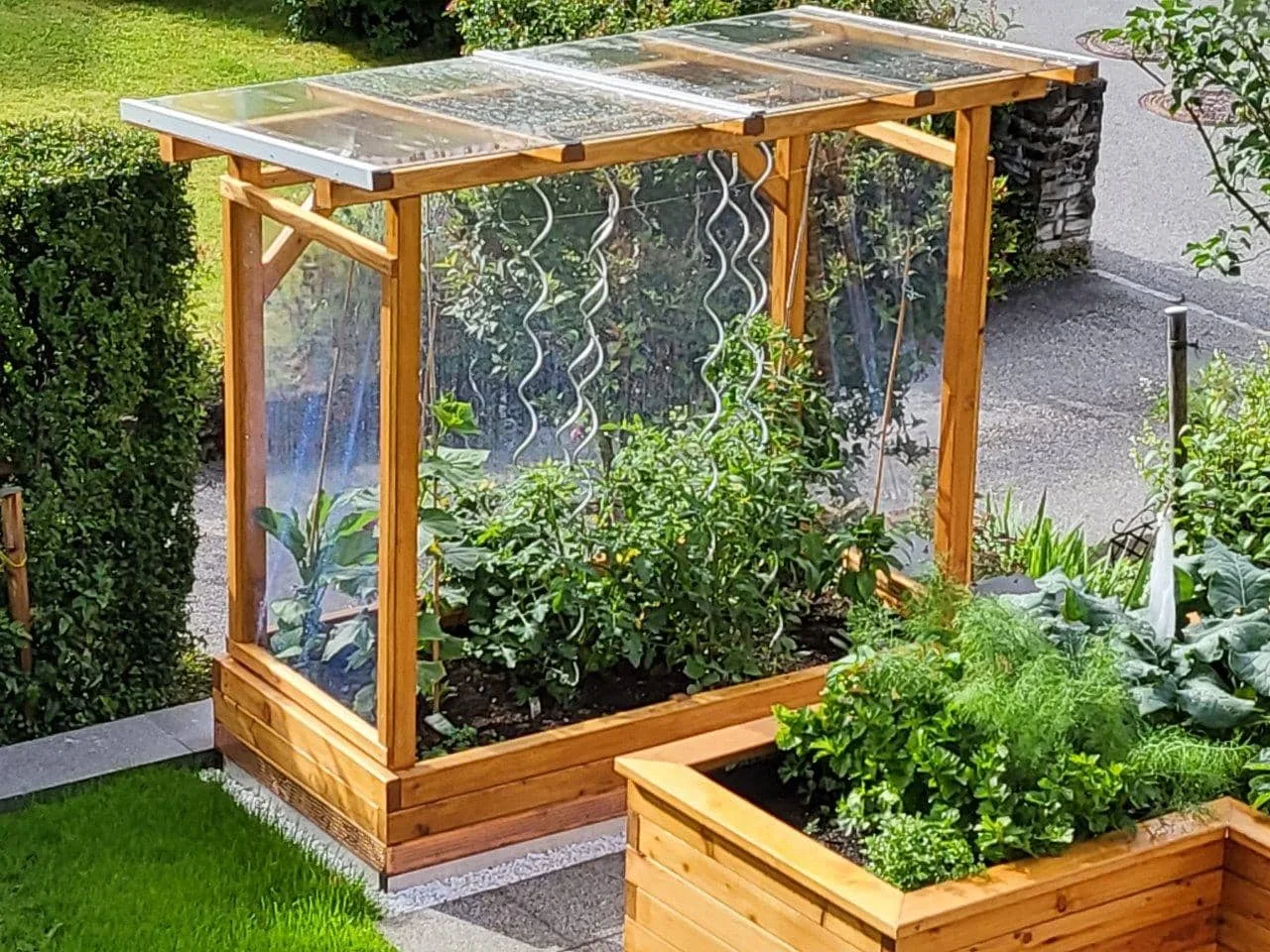 Tomaten-Paradies, Ansicht 13